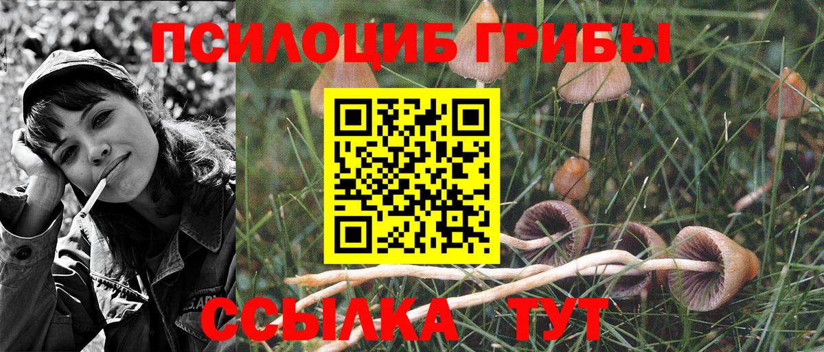Лыткарино  Псилоцибиновые грибы Magic Shrooms  Вход с VPN 